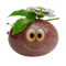 I nostri frutti Image